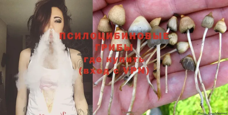 где можно купить   Троицк  ОМГ ОМГ ONION  Галлюциногенные грибы Psilocybine cubensis 